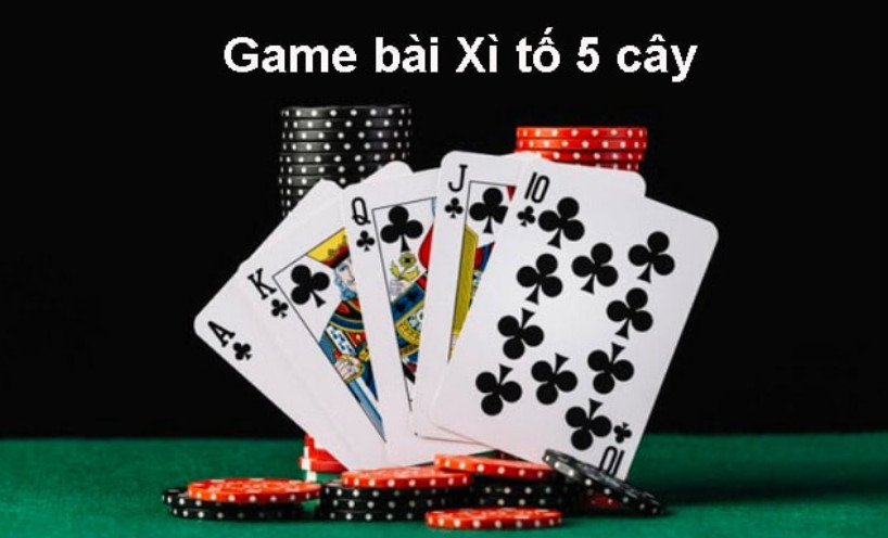 Các thuật ngữ thường gặp trong Bài Xì Tố 12Bet