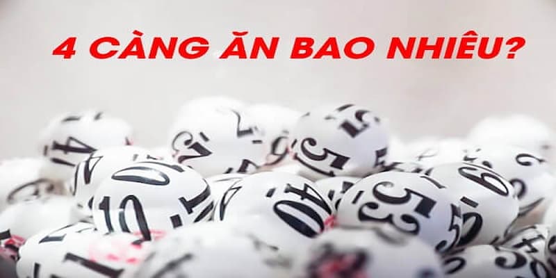 Đề 4 Càng Ăn Bao Nhiêu Giải Đáp Chi Tiết Cho Hội Viên