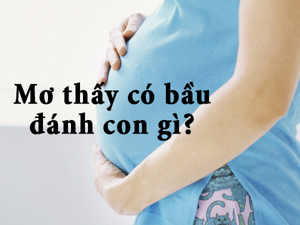 Nằm Mơ Thấy Có Bầu Đánh Đề Con Gì - Giải Mã Bí Ẩn Giấc Mộng Mang Thai